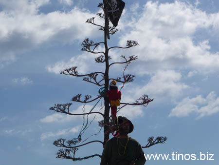carnavali_2009 049